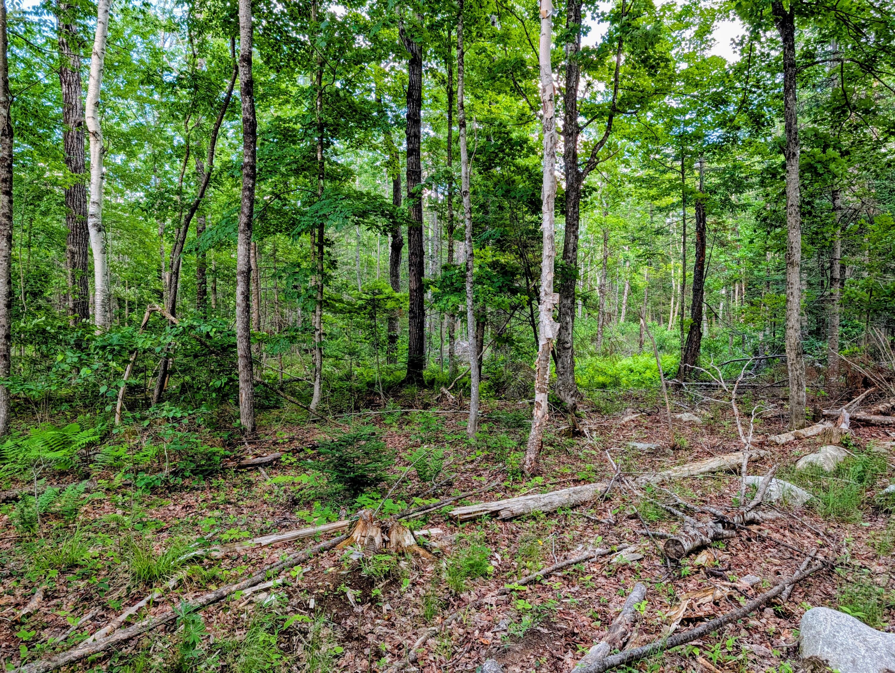 147 Calvin Gray Road Madrid Township, ME 04966 - Photo 63 of 68 147 Calvin Gray Road