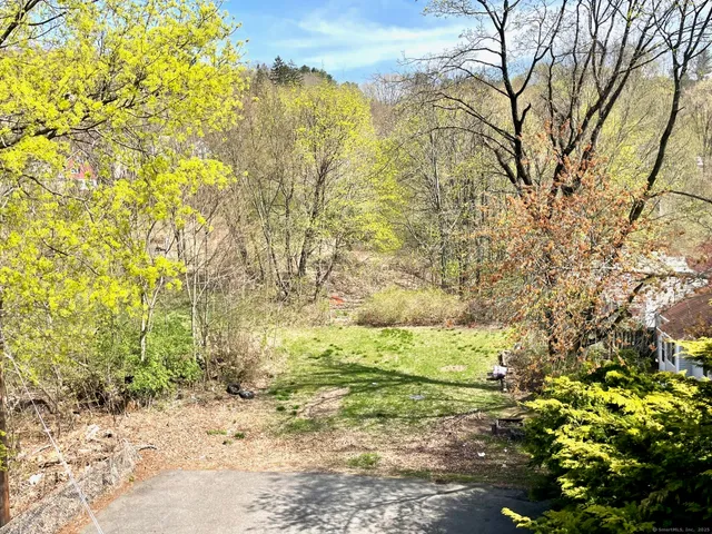 a view of beach and tree