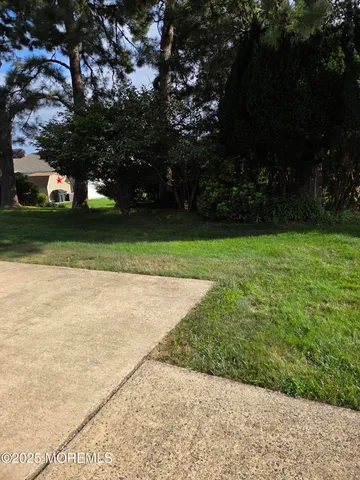 a view of a park with large trees