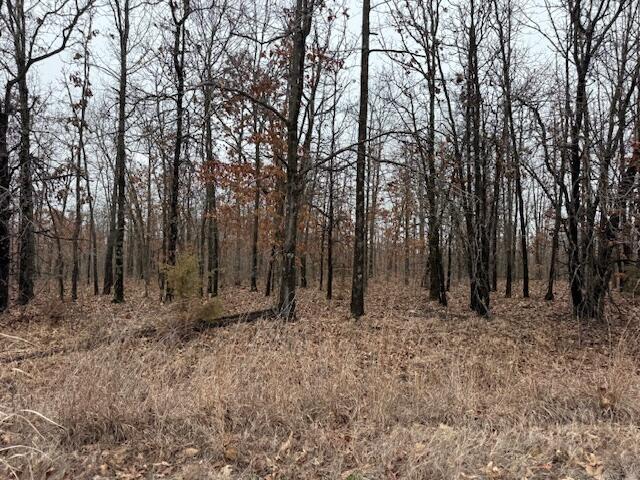 10.3-acres Post Oak Road Tunas, MO 65764 - Photo 1 of 1 IMG_9086