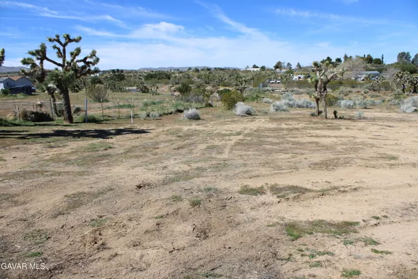 a view of a dry yard with wooden fence