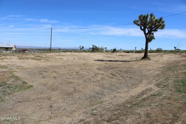 a view of a ocean beach