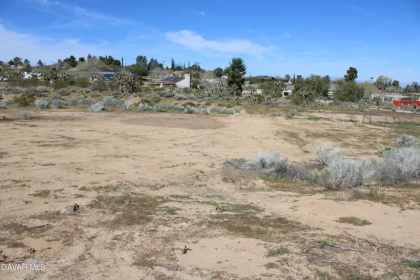 a view of a dry yard with mountain view