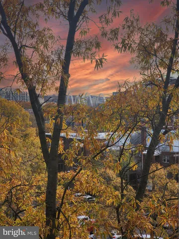 a view of mountain view with lots of trees