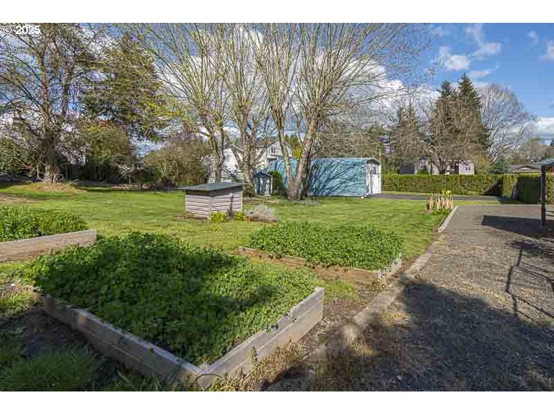 1216 Northeast Montgomery Place Albany, OR 97321 - Photo 42 of 47 a view of a park with large trees