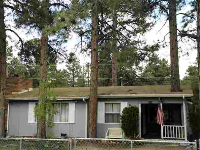 3345 Rim Lakes Drive Overgaard, AZ 85933 - Photo 2 of 24