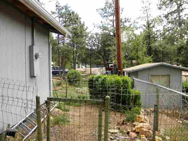 3345 Rim Lakes Drive Overgaard, AZ 85933 - Photo 6 of 24