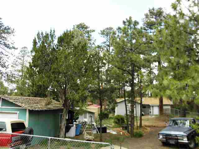3345 Rim Lakes Drive Overgaard, AZ 85933 - Photo 7 of 24