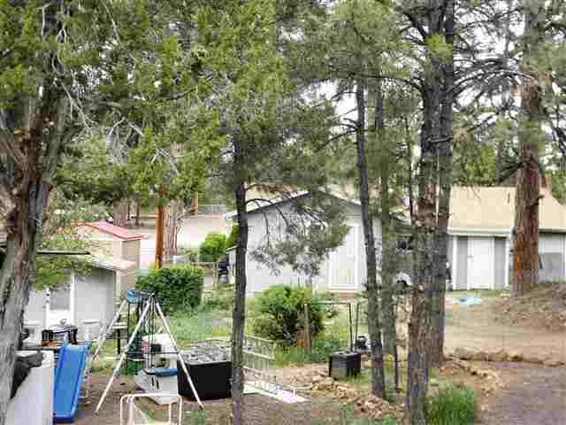 3345 Rim Lakes Drive Overgaard, AZ 85933 - Photo 8 of 24