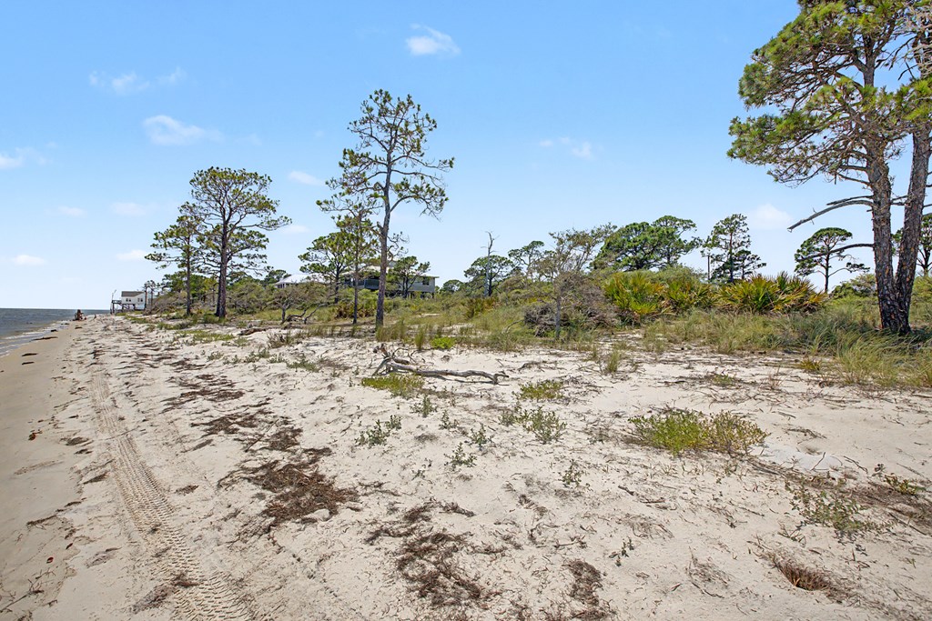 446 Bald Point Road Alligator Point, FL 32346 - Photo 22 of 30
