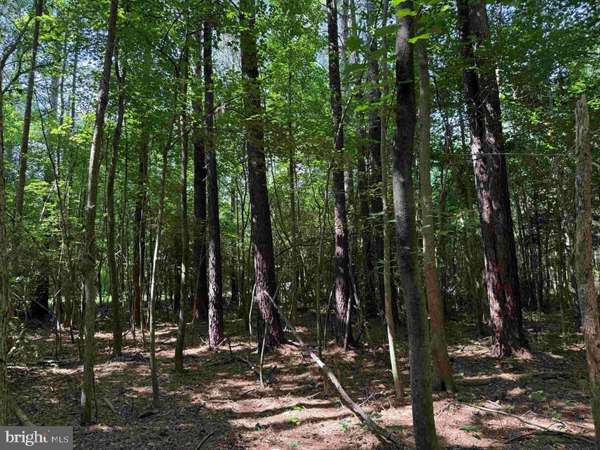Sarecta Road Kenansville, NC 28349 - Photo 25 of 28