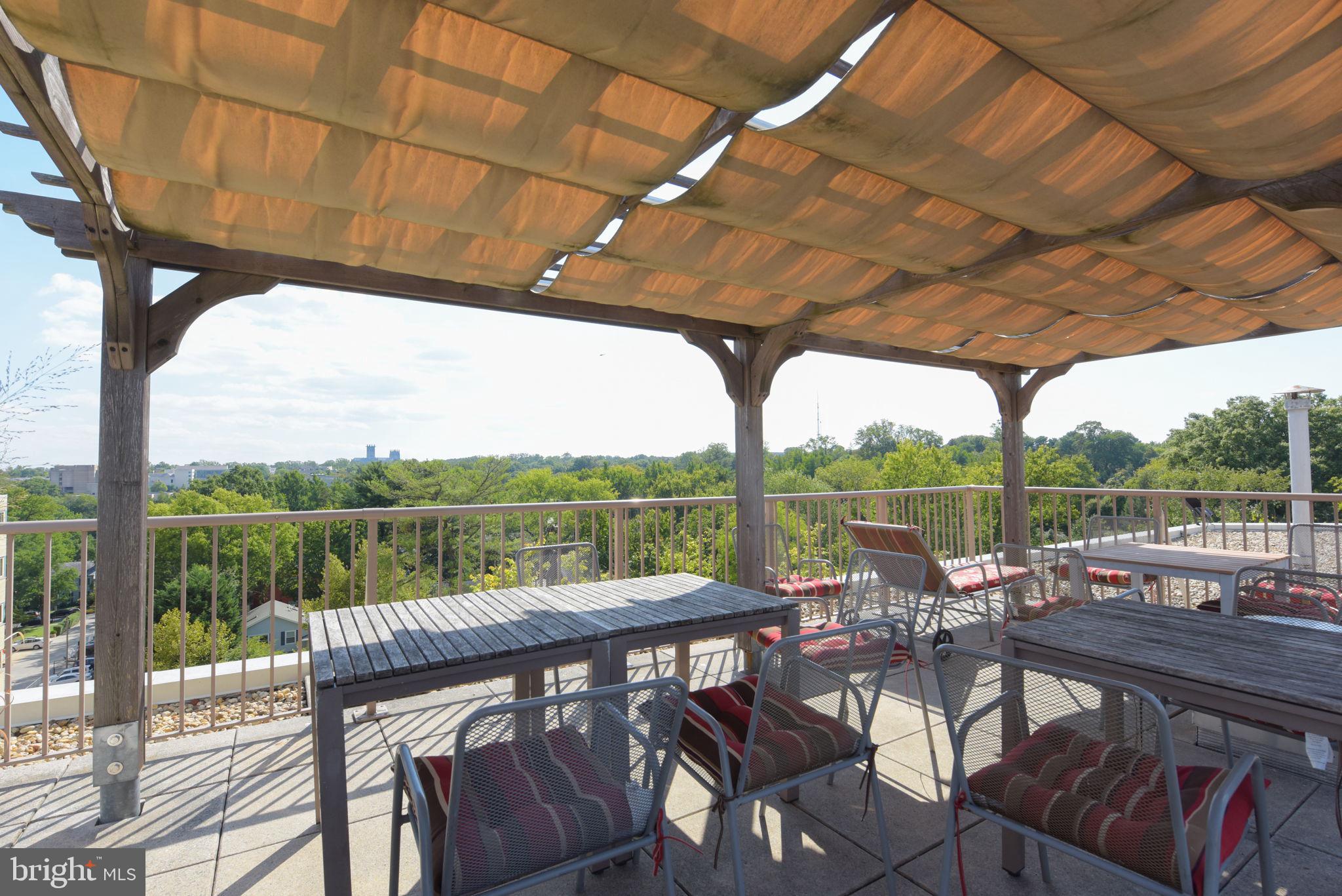 4600 Connecticut Avenue Northwest, Unit 710 Washington, DC 20008 - Photo 28 of 37 Roof Deck