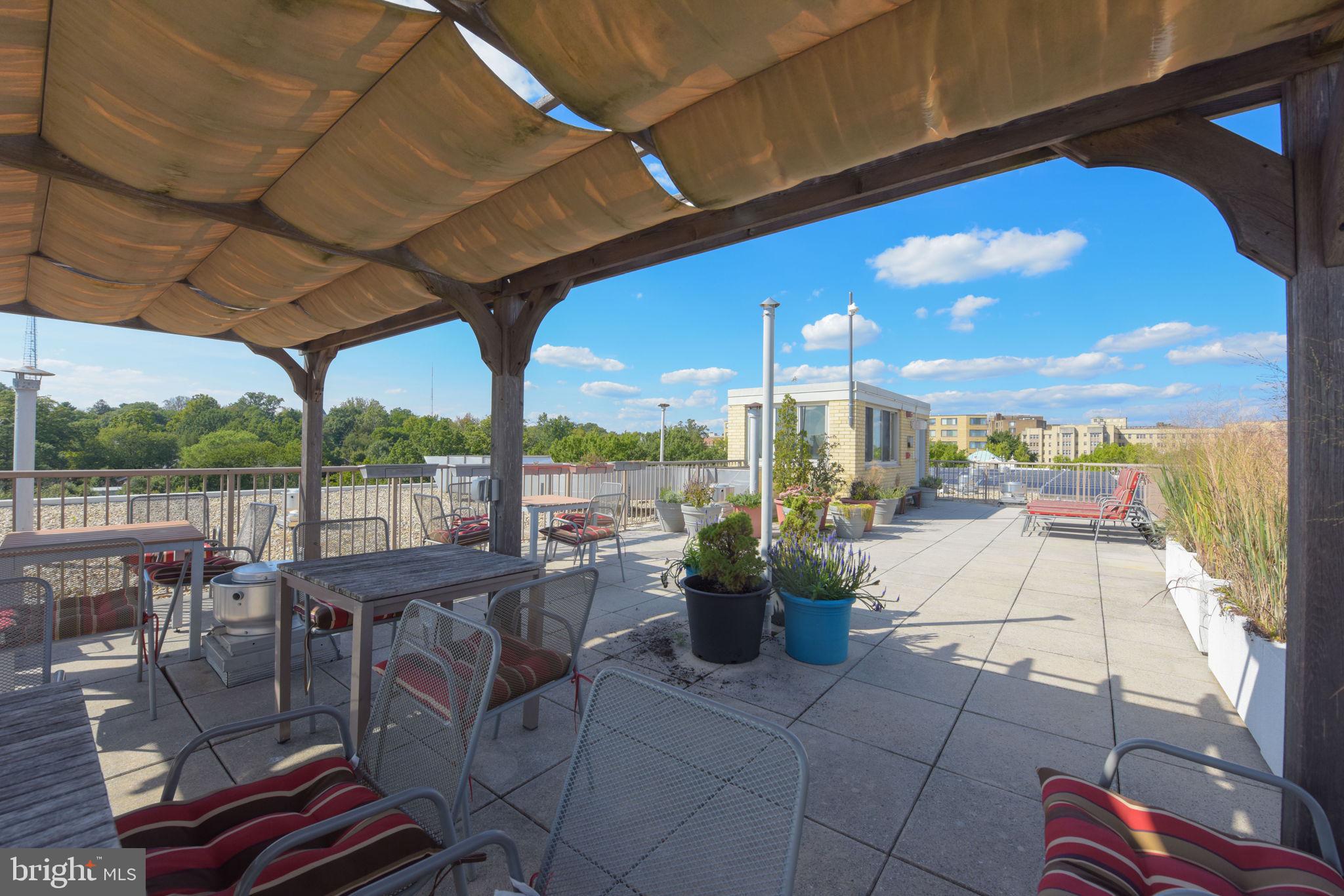 4600 Connecticut Avenue Northwest, Unit 710 Washington, DC 20008 - Photo 29 of 37 Roof Deck