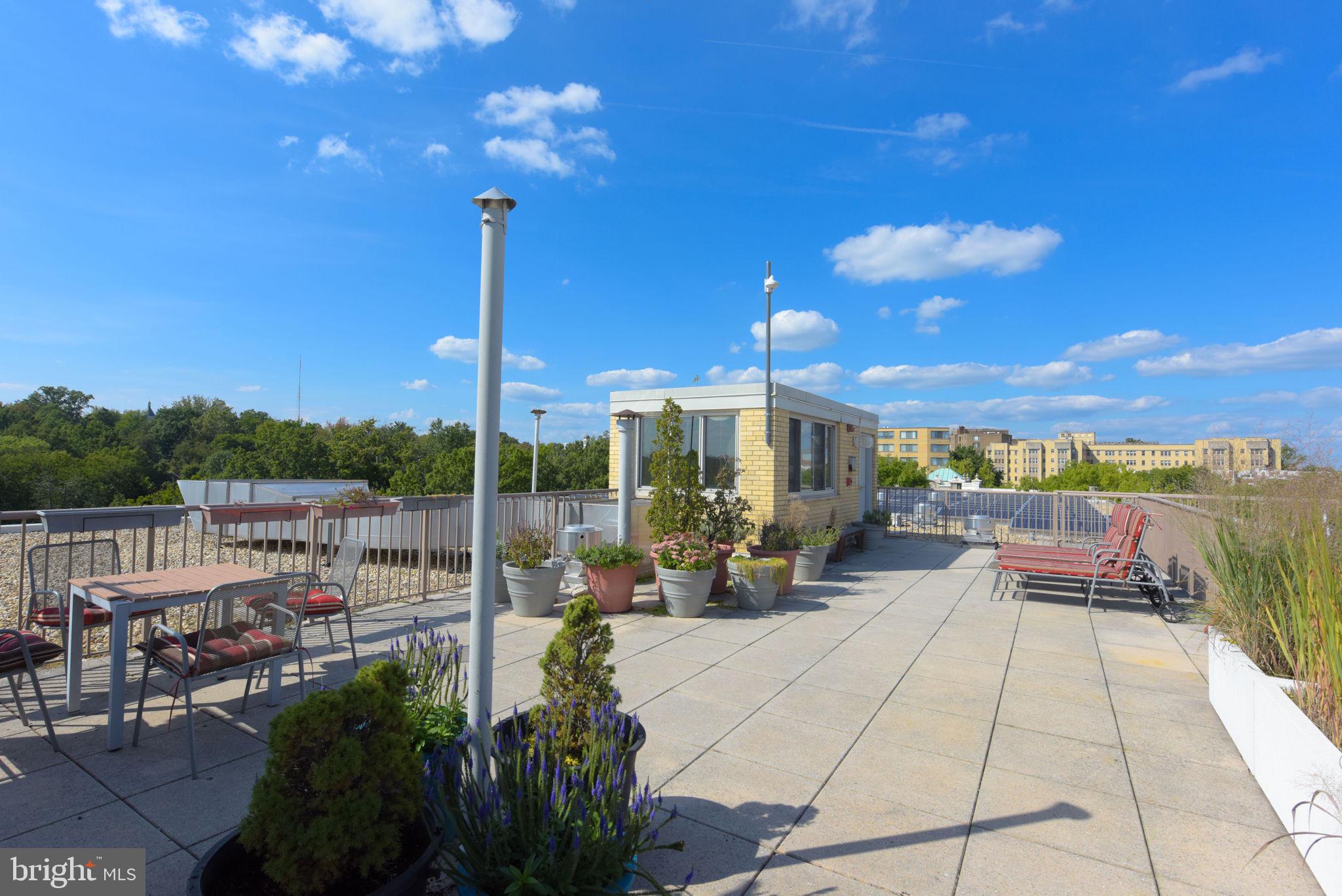 4600 Connecticut Avenue Northwest, Unit 710 Washington, DC 20008 - Photo 30 of 37 Roof Deck