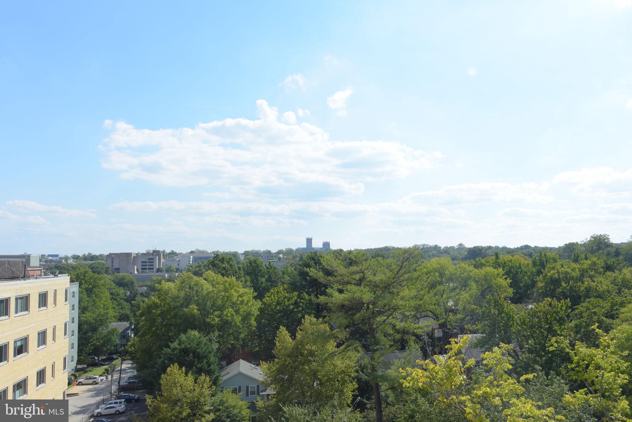 4600 Connecticut Avenue Northwest, Unit 710 Washington, DC 20008 - Photo 31 of 37 View from Roof Deck
