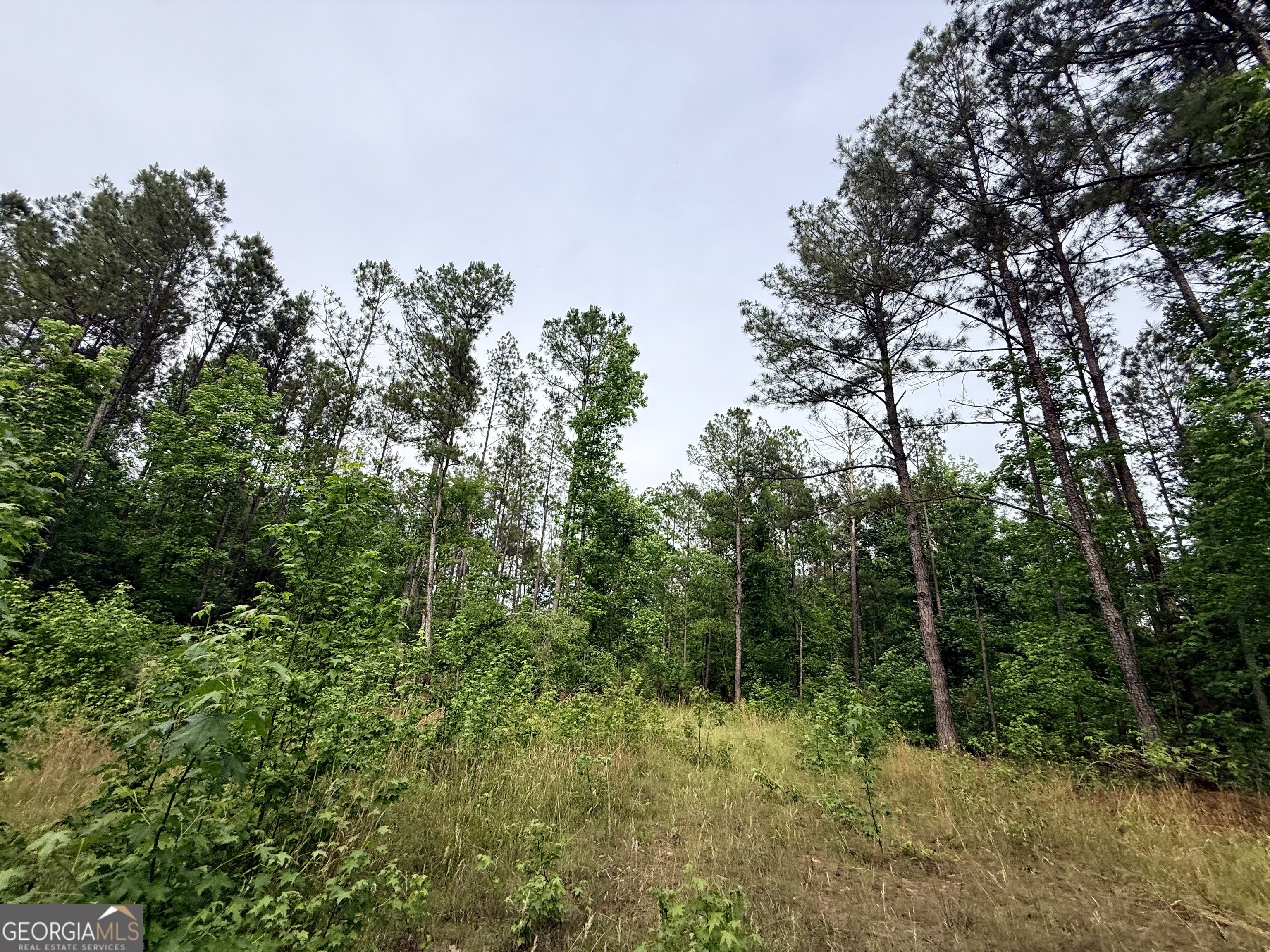 715 Fulsome Creek Road Sparta, GA 31087 - Photo 87 of 117