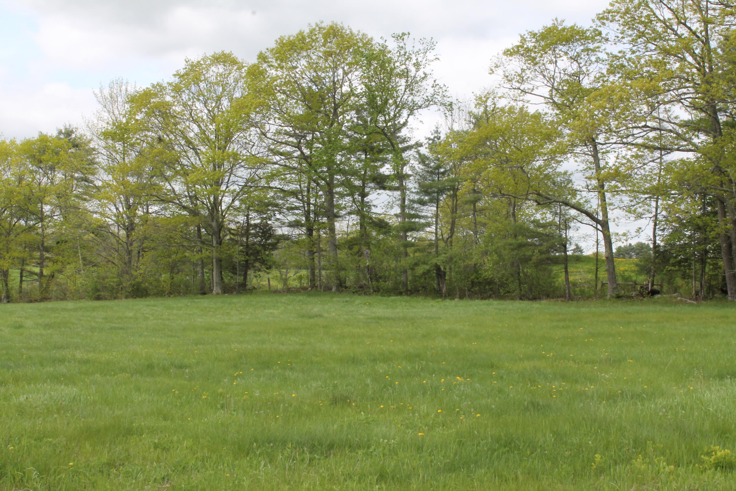702 Plains Road Litchfield, ME 04350 - Photo 20 of 23 IMG_2412