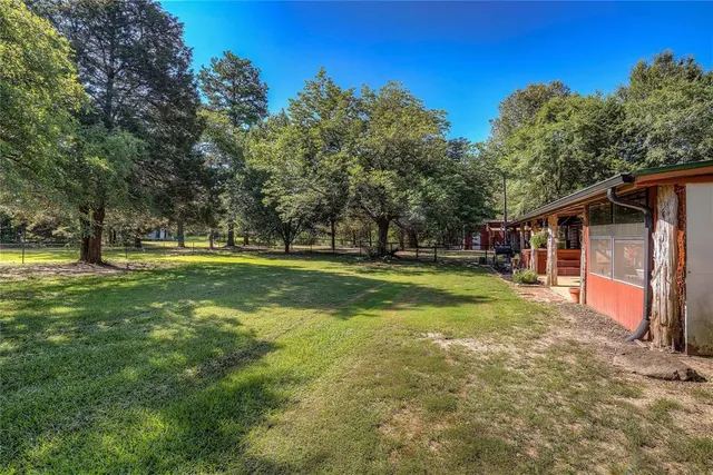 a view of a backyard with large trees and wooden fence