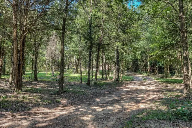 a view of a yard with a tree