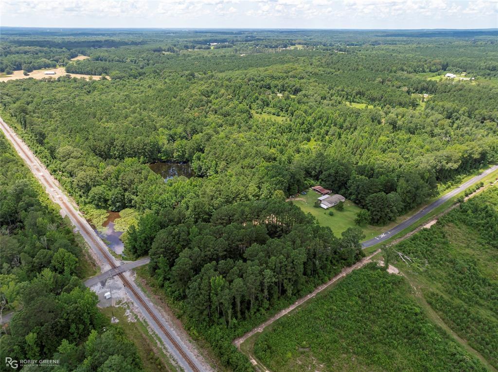 P-1 Stuckey Road Dubberly, LA 71024 - Photo 3 of 7 a view of a green field with lots of green space
