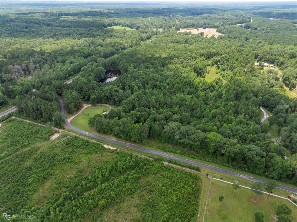 P-1 Stuckey Road Dubberly, LA 71024 - Photo 4 of 7 a view of a green field with lots of green space