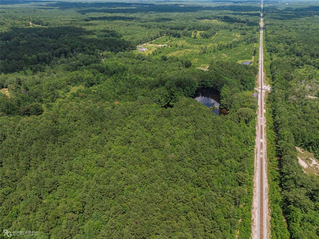 P-1 Stuckey Road Dubberly, LA 71024 - Photo 5 of 7 a view of a garden