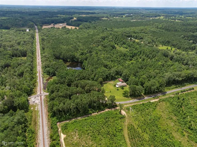 an aerial view of mountain with trees