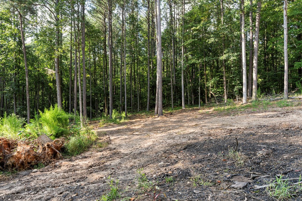 1080 Holt Road Ellijay, GA 30536 - Photo 16 of 17 Gallery Image 16