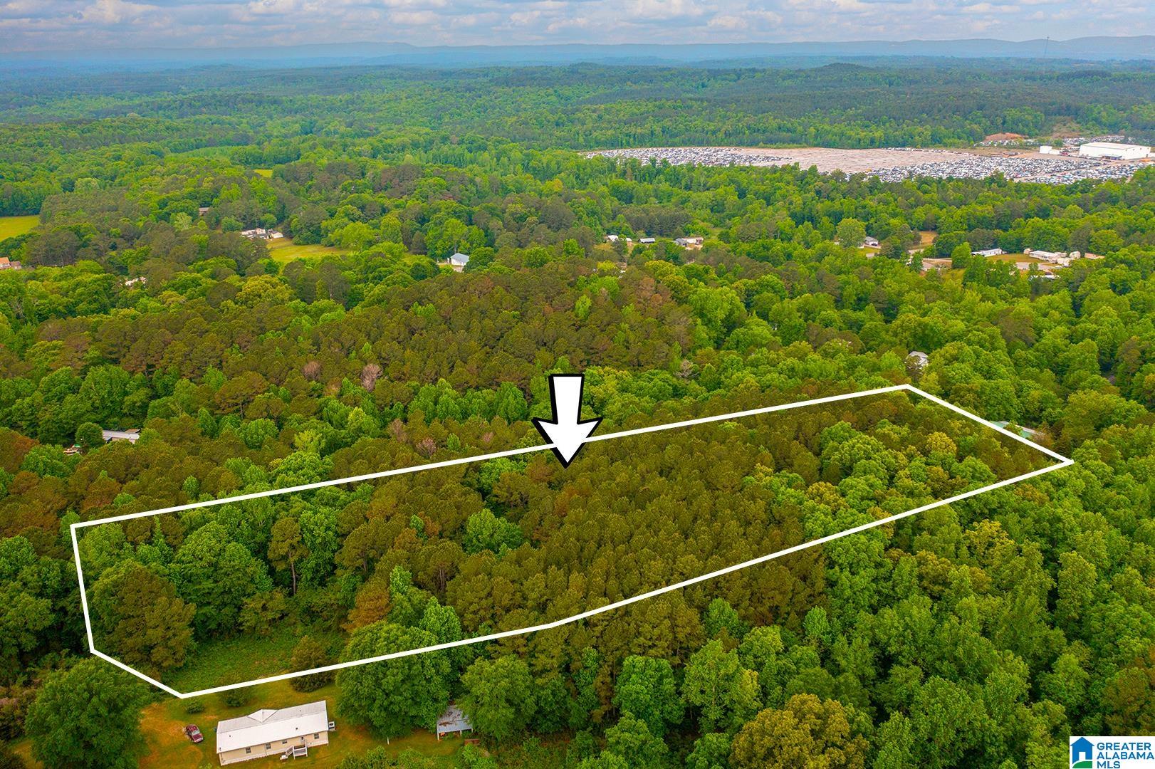 0 Spunky Hollow Road, Unit 1 Trafford, AL 35172 - Photo 4 of 18