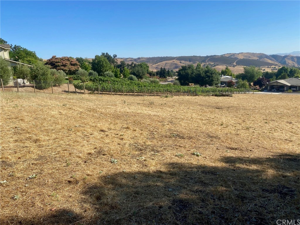 9853 Steelhead Road Paso Robles, CA 93446 - Photo 1 of 1 Enjoy your neighbors boutique vineyard with mountain views behind.