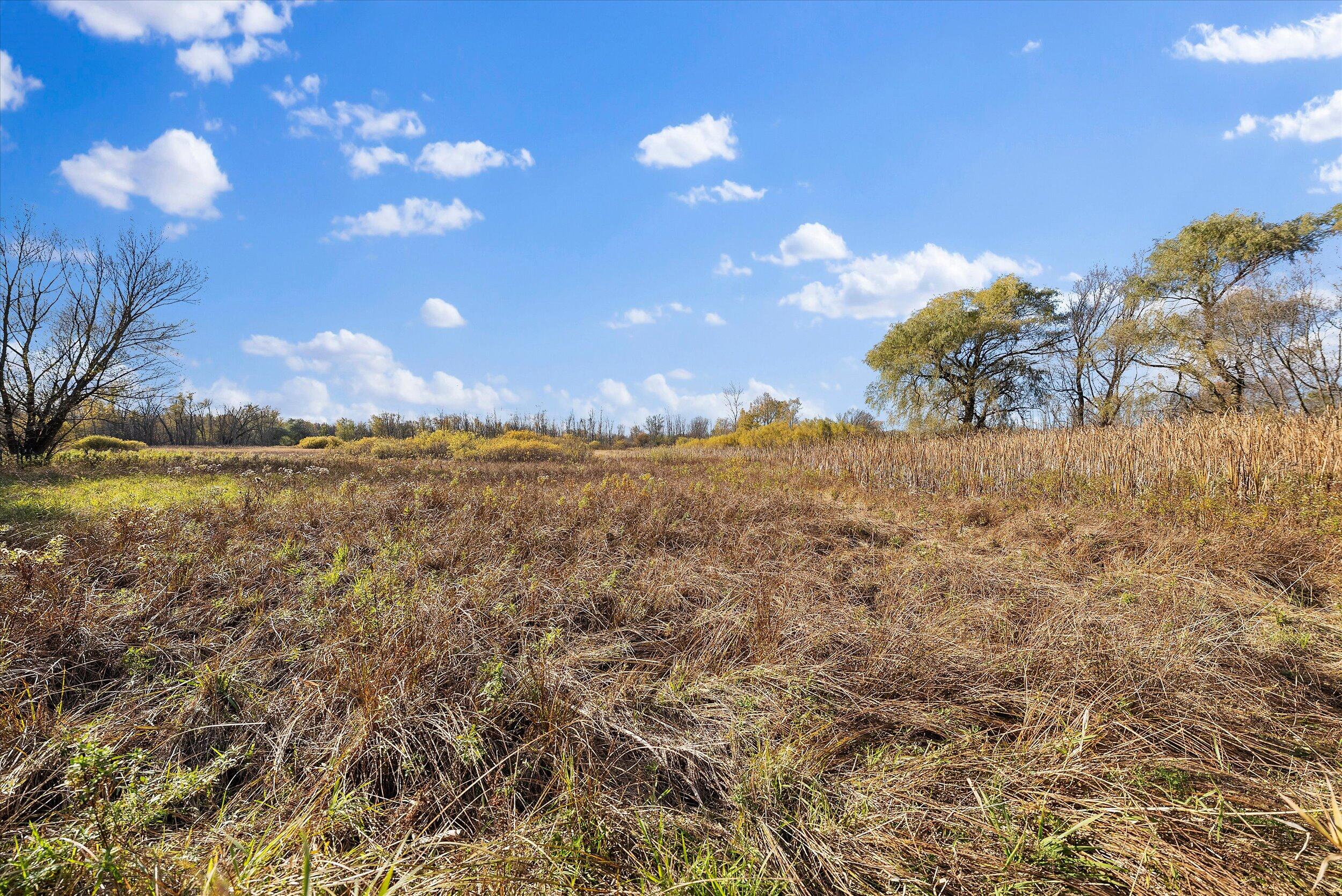 9083 Fillmore Road Farmington, WI 53021 - Photo 50 of 61 50-Backyard View