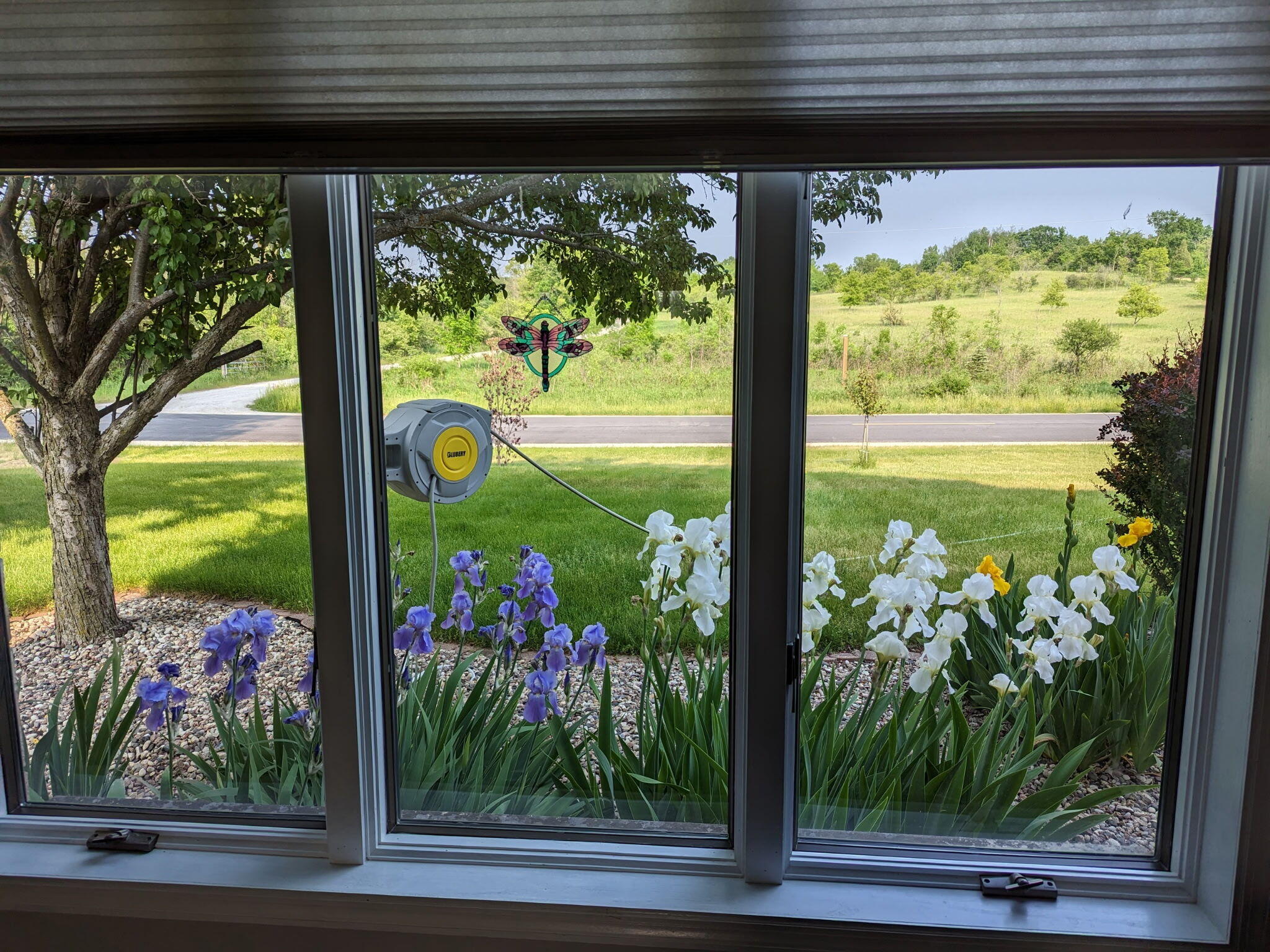 9083 Fillmore Road Farmington, WI 53021 - Photo 58 of 61 Photo outside 4