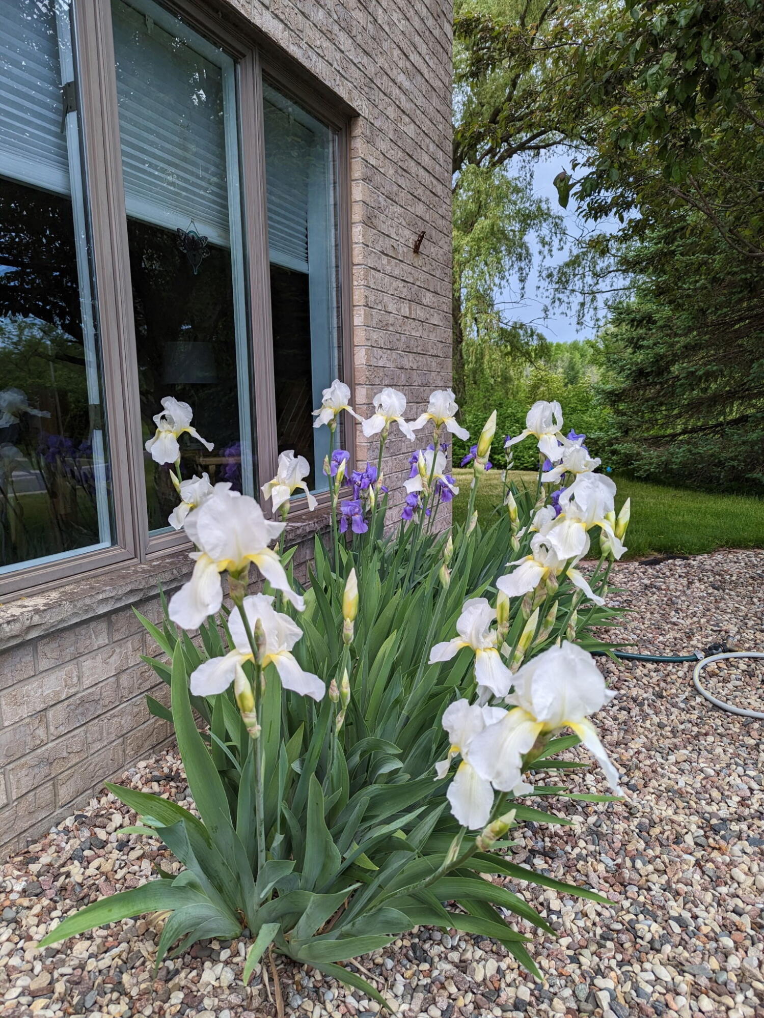 9083 Fillmore Road Farmington, WI 53021 - Photo 59 of 61 photo outside 5