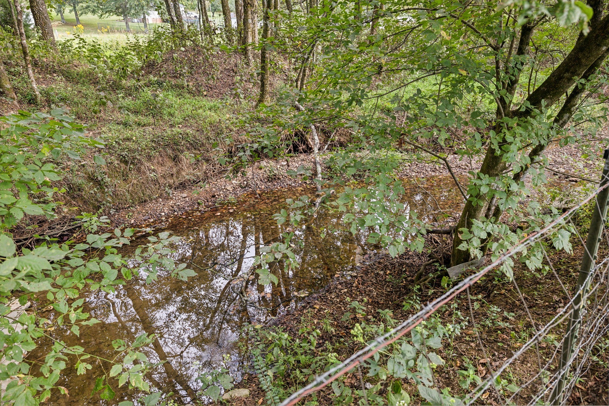 600 Blooming Grove Road Pulaski, TN 38478 - Photo 42 of 68