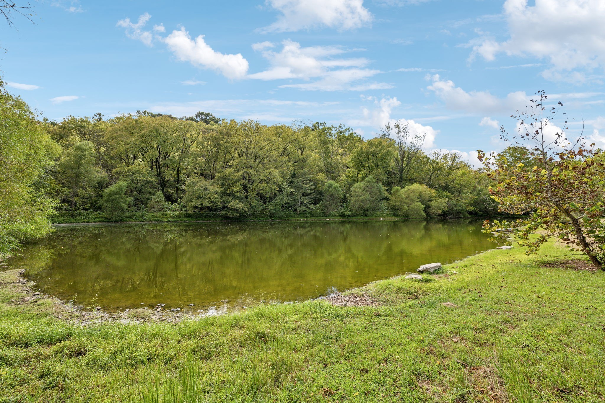 600 Blooming Grove Road Pulaski, TN 38478 - Photo 45 of 68 a view of a lake with a city