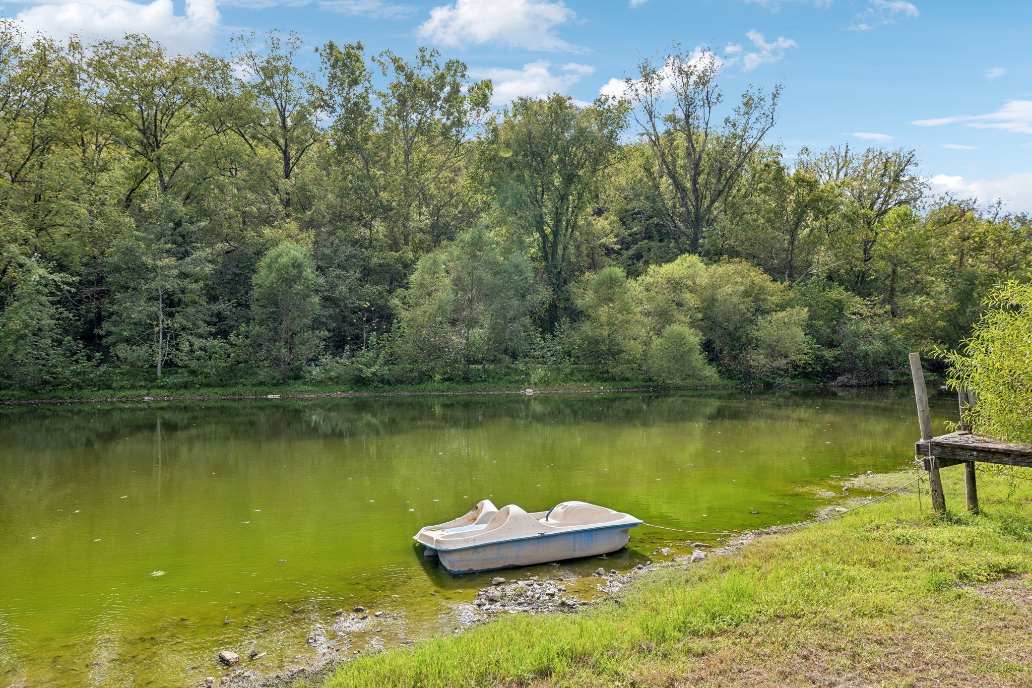 600 Blooming Grove Road Pulaski, TN 38478 - Photo 47 of 68 a view of a lake with a table and chairs