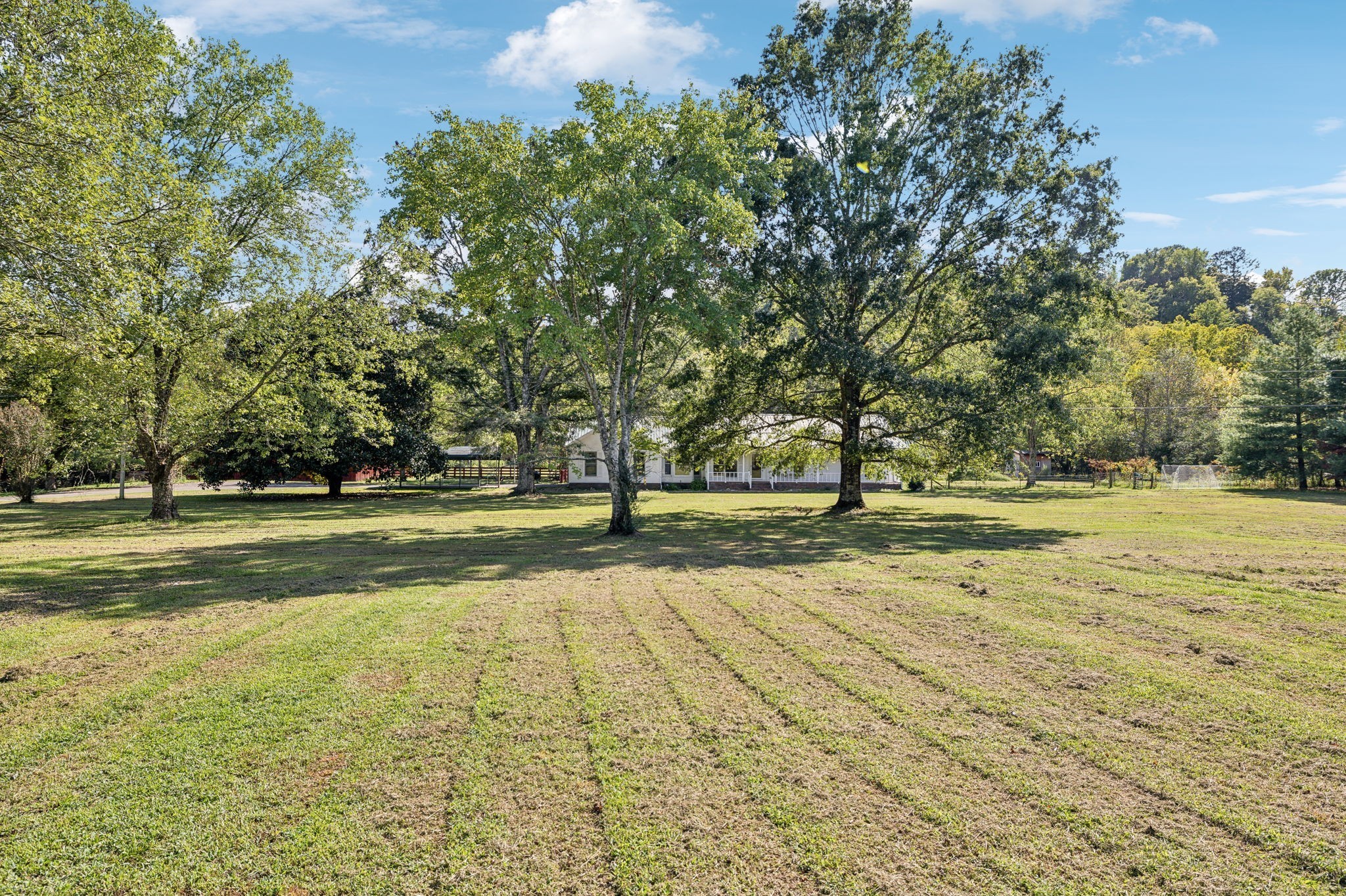 600 Blooming Grove Road Pulaski, TN 38478 - Photo 54 of 68 a view of yard with trees