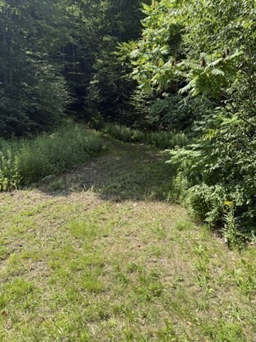 0 Zoar Road Rowe, MA 01367 - Photo 16 of 25 Gallery Image 16