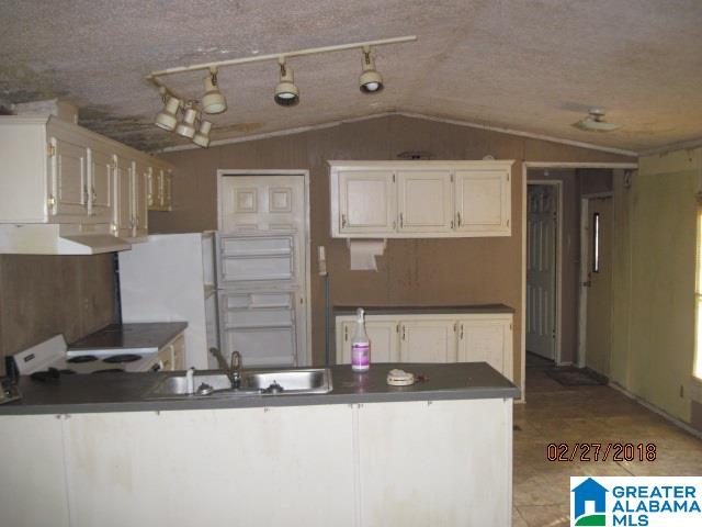 1560 Dripping Rock Road Piedmont, AL 36272 - Photo 3 of 8