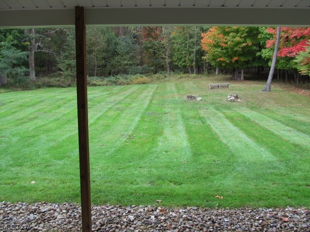 153 North Thomas Road Tallmadge, OH 44278 - Photo 21 of 21 Rear Yard. Can see Deer Feeder adjacent to tree at the Right.