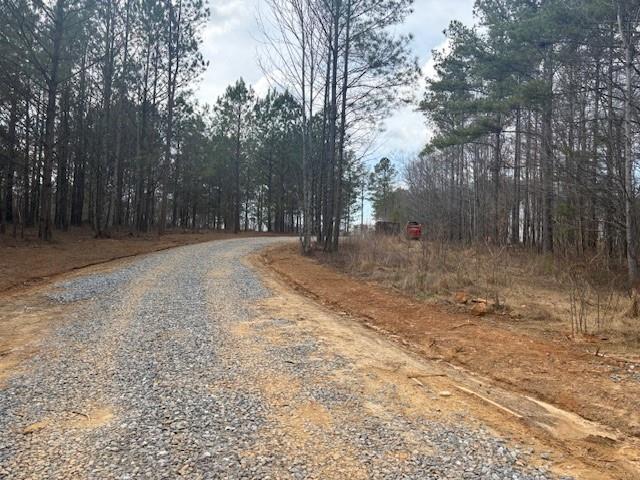 2081 Jerusalem Church Road Jasper, GA 30143 - Photo 4 of 8