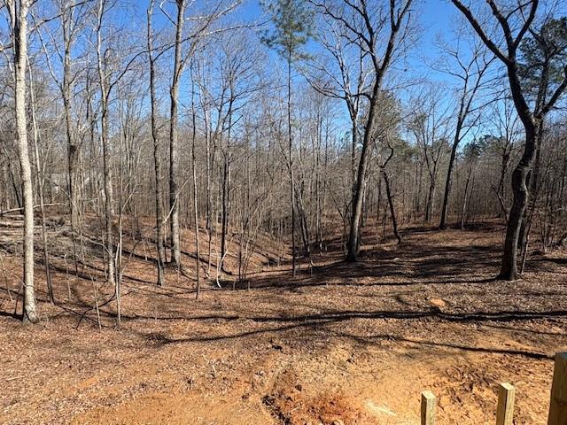 2081 Jerusalem Church Road Jasper, GA 30143 - Photo 5 of 8