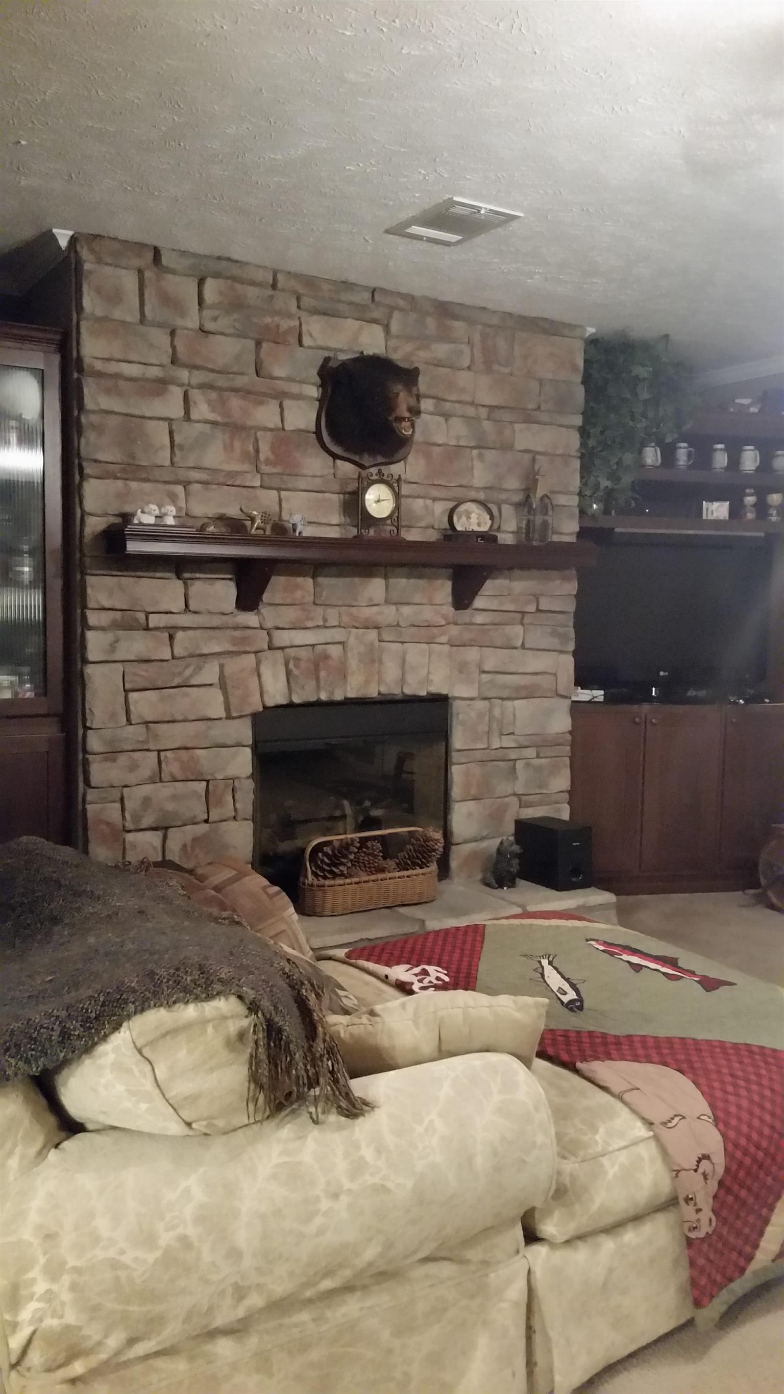 5240 Tobe Robertson Road Columbia, TN 38401 - Photo 7 of 18 Fireplace