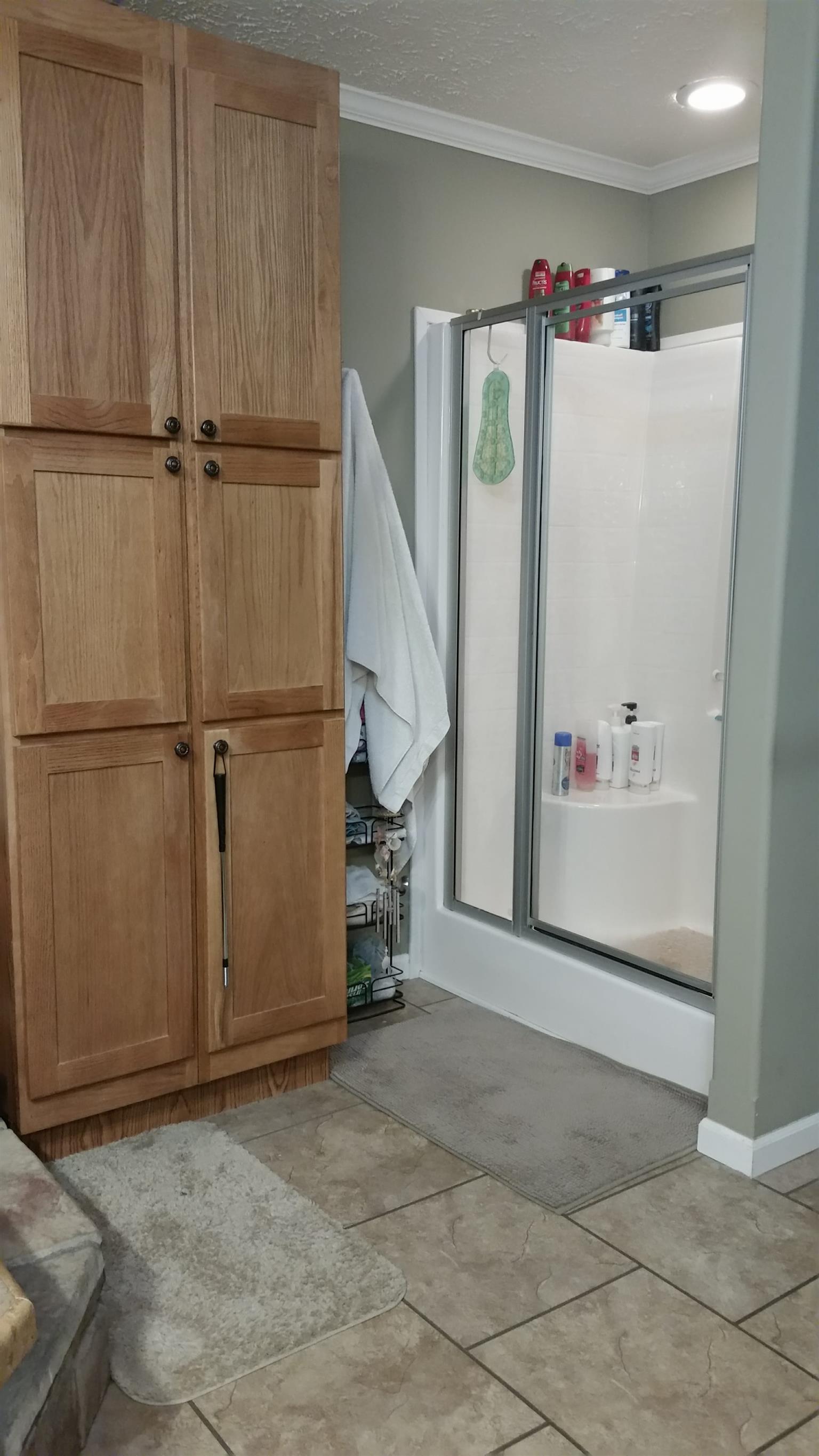 5240 Tobe Robertson Road Columbia, TN 38401 - Photo 10 of 18 Walk-In shower