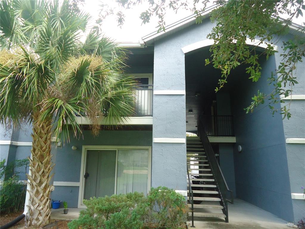 3705 Southwest 27th Street, Unit 328 Gainesville, FL 32608 - Photo 1 of 1 a potted plant sitting in front of a house