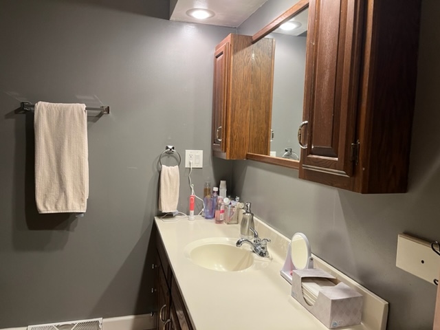 5833 South Skare Road Rochelle, IL 61068 - Photo 20 of 41 a bathroom with a sink and a mirror