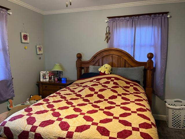 5833 South Skare Road Rochelle, IL 61068 - Photo 26 of 41 a bedroom with a bed and a lamp on dresser