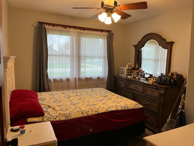 5833 South Skare Road Rochelle, IL 61068 - Photo 27 of 41 a bedroom with a bed and a dresser
