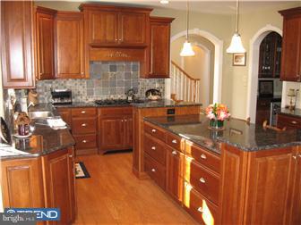 124 Springtree Road Newtown Square, PA 19073 - Photo 6 of 12 Kitchen