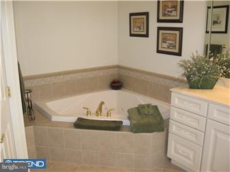124 Springtree Road Newtown Square, PA 19073 - Photo 9 of 12 Bathroom